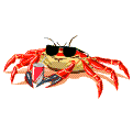 crab's